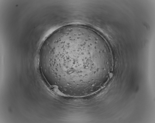 X0000112731367200909031435