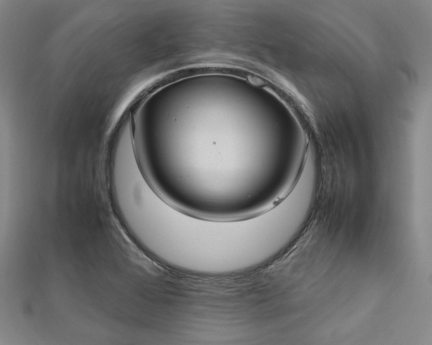 X0000112731368200909031435