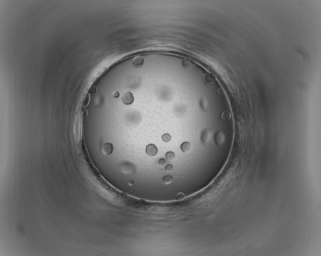 X0000112731371200909031435