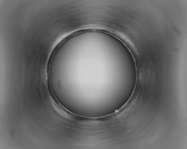 X0000112731372200909031435