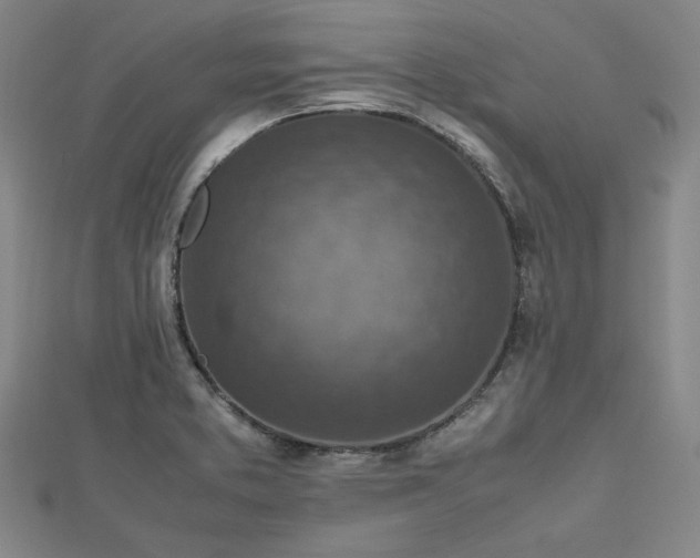 X0000112731373200909031435