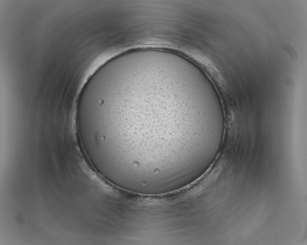 X0000112731374200909031435