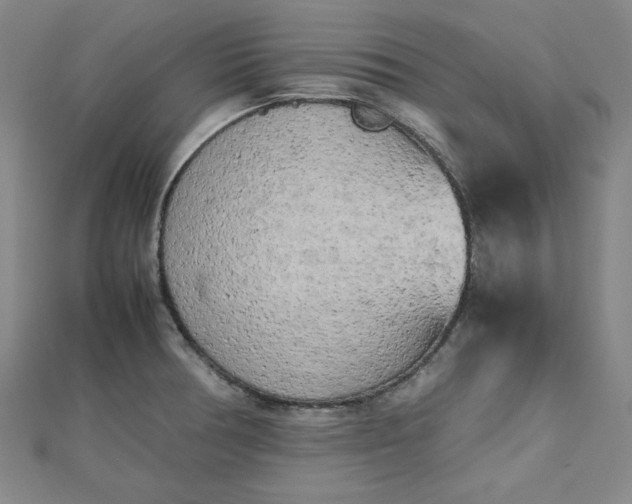 X0000112731378200909031435