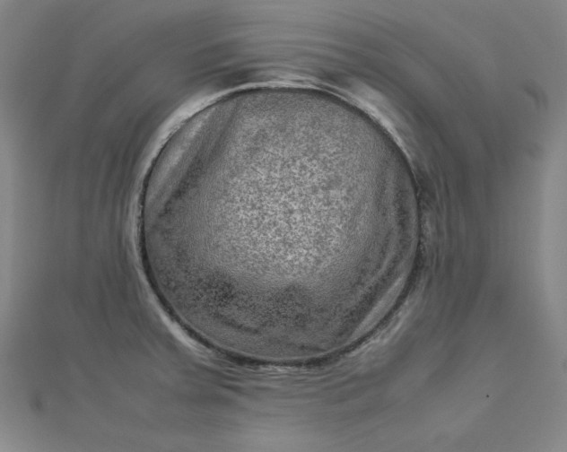 X0000112731379200909031435