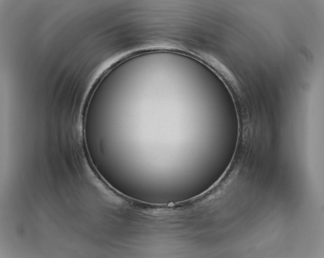 X0000112731380200909031435