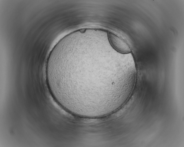 X0000112731382200909031435