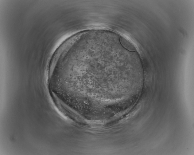 X0000112731383200909031435