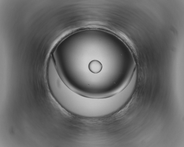 X0000112731384200909031435