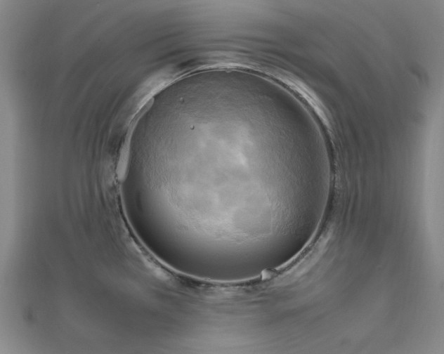 X0000112731385200909031435