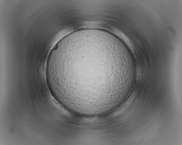 X0000112731386200909031435