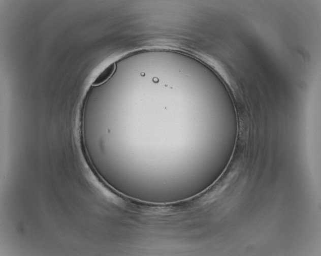 X0000112731387200909031435