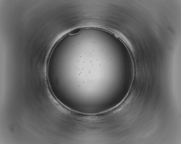 X0000112731388200909031435