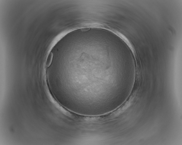 X0000112731389200909031435