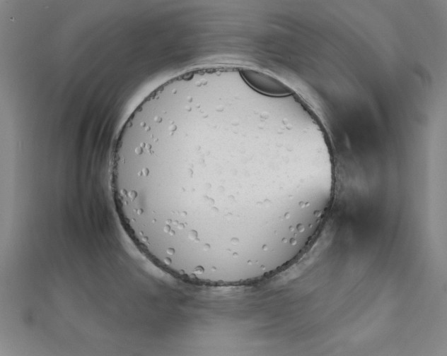 X0000112731390200909031435