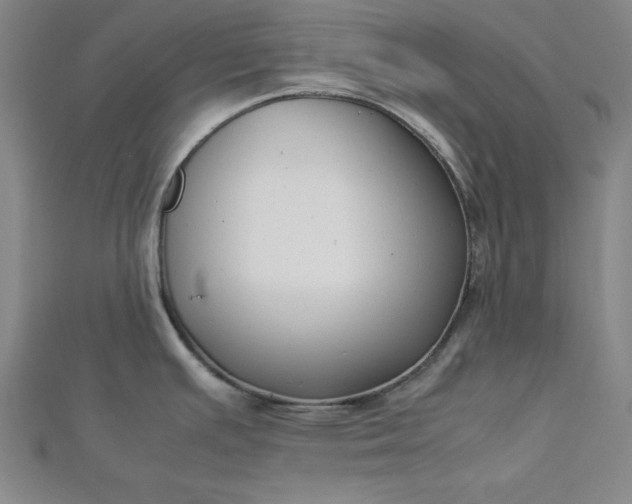 X0000112731391200909031435