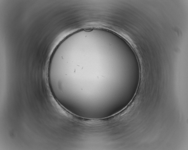 X0000112731392200909031435