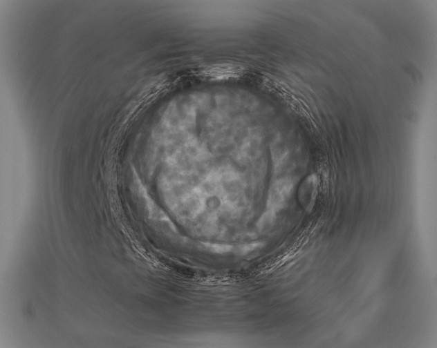 X0000112731393200909031434