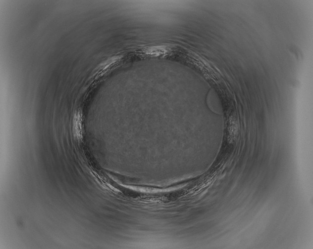 X0000112731394200909031434