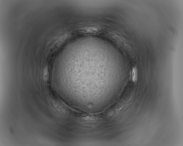 X0000112731395200909031434