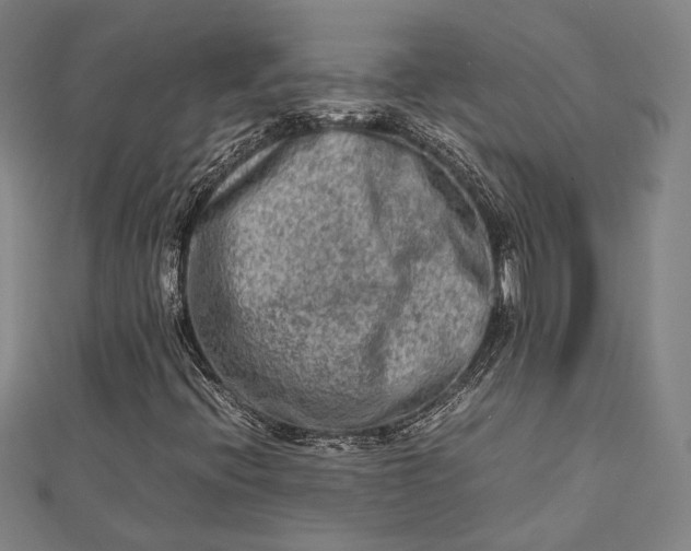 X0000112731396200909031434