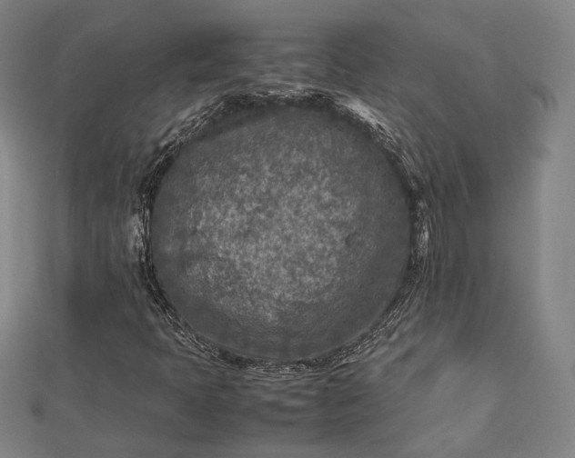 X0000112731397200909031434