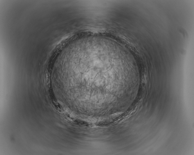 X0000112731398200909031434