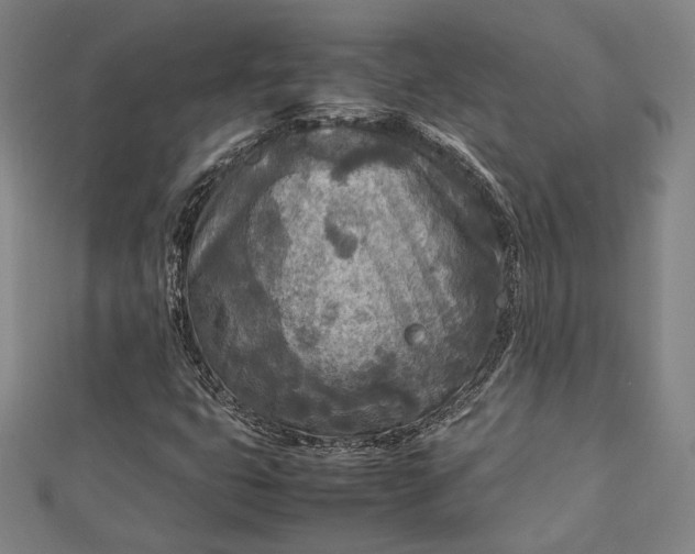 X0000112731399200909031434