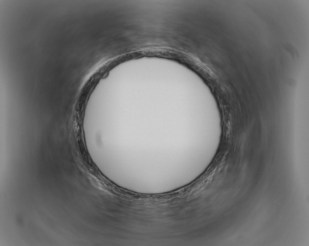 X0000112731400200909031434