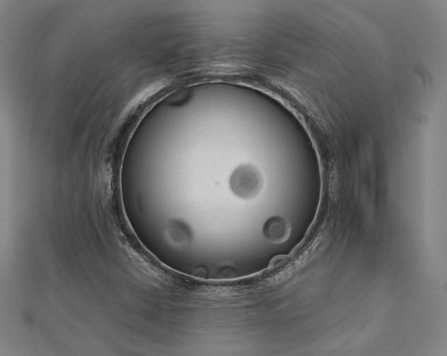 X0000112731402200909031434