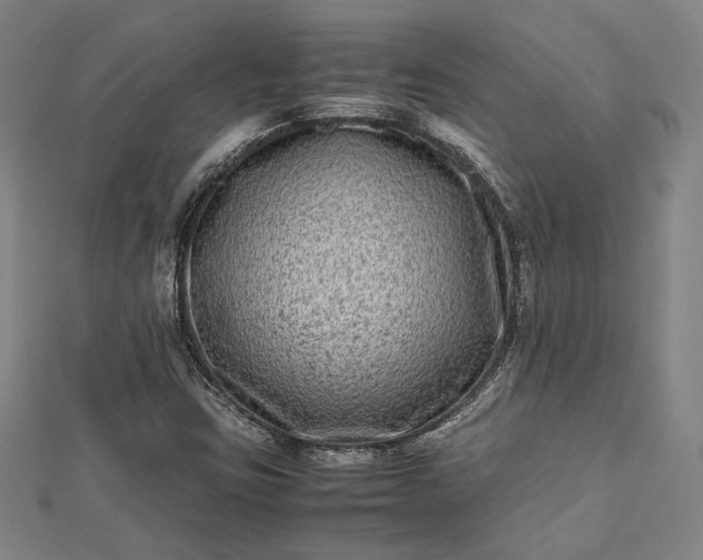 X0000112731403200909031434