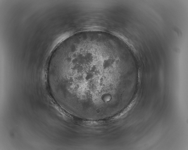 X0000112731405200909031435