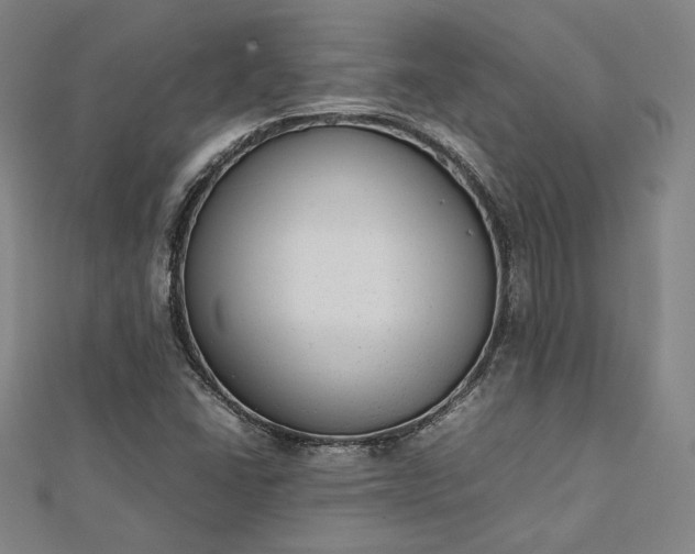 X0000112731406200909031435