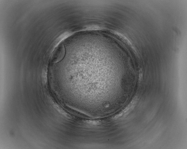 X0000112731409200909031435