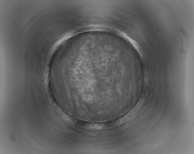 X0000112731411200909031435