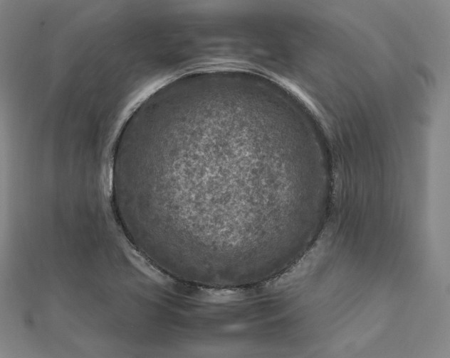 X0000112731413200909031435