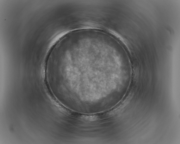 X0000112731415200909031435