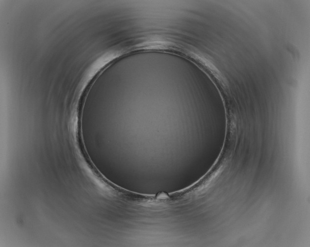 X0000112731418200909031435