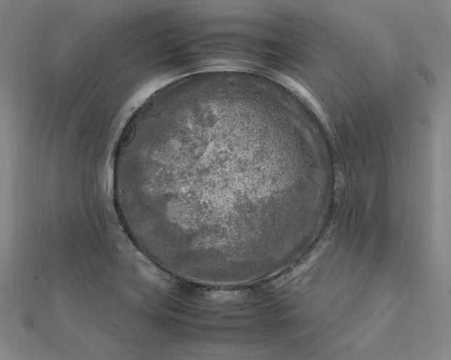 X0000112731419200909031435