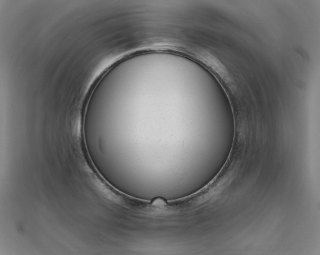 X0000112731420200909031435