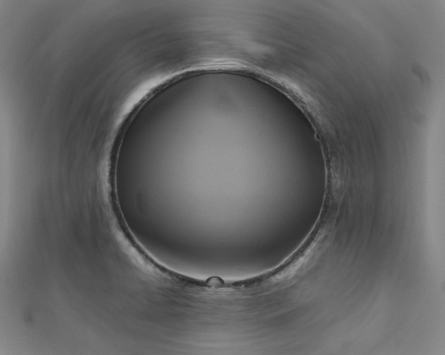 X0000112731422200909031435