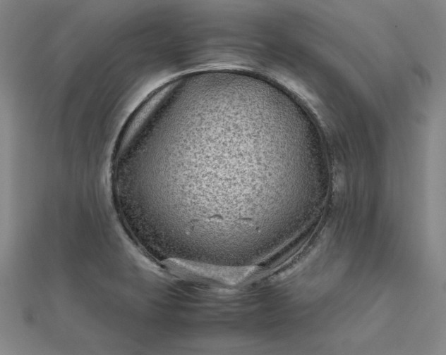 X0000112731423200909031435