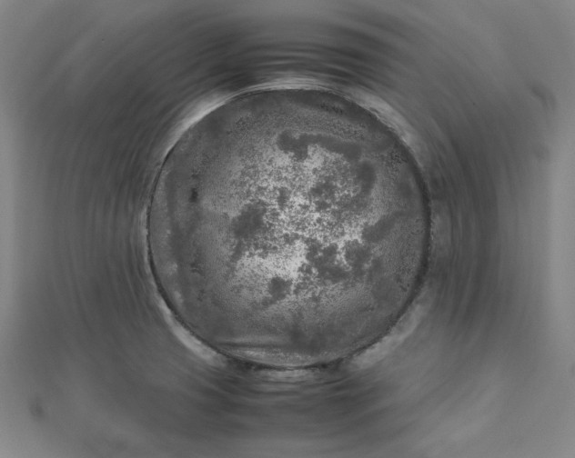 X0000112731425200909031435