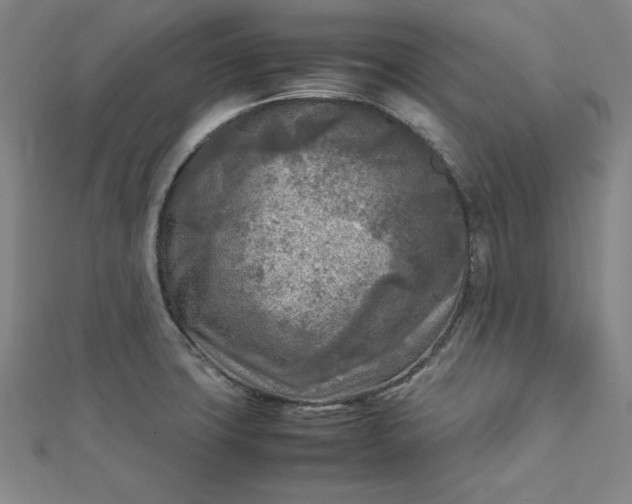 X0000112731427200909031435