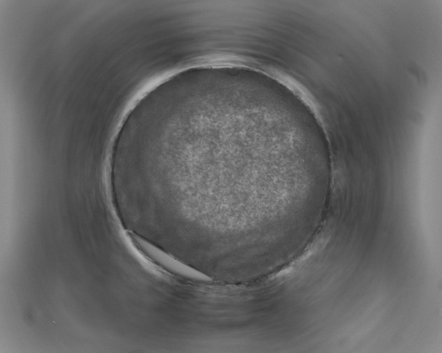 X0000112731429200909031435