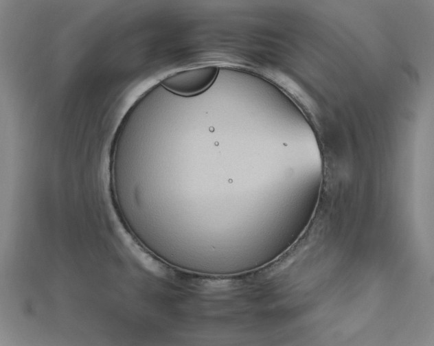 X0000112731431200909031435