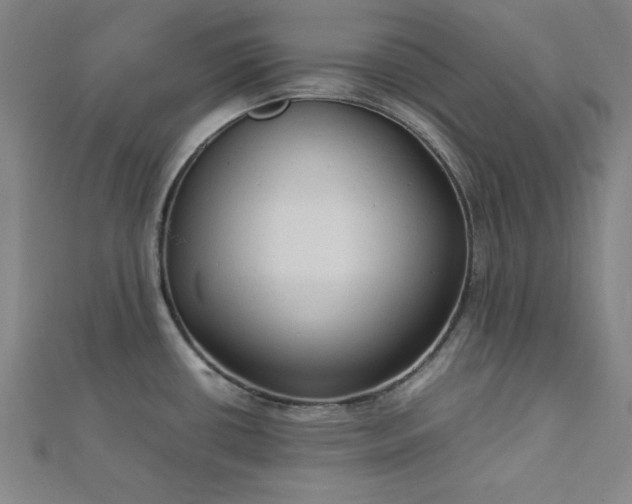 X0000112731434200909031435