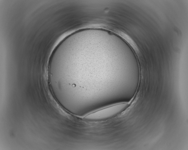 X0000112731436200909031435