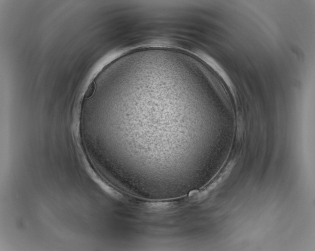 X0000112731437200909031435