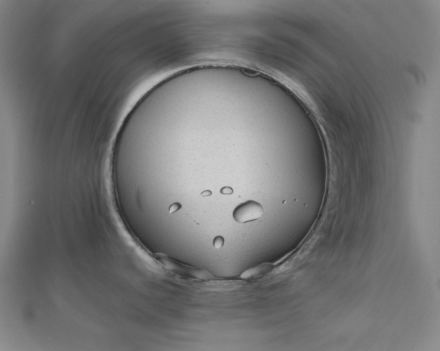 X0000112731440200909031435