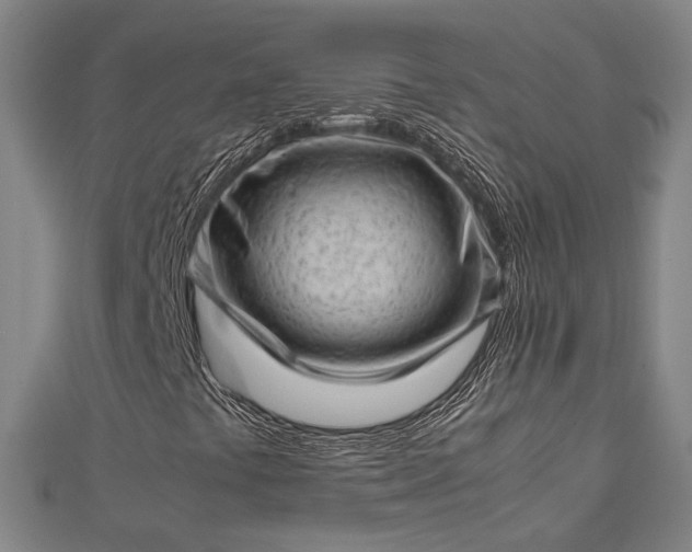 X0000112731441200909031434